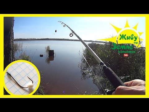 Видео: На карпа с простыми донками Крокодил.  Рыбалка с ночёвкой.