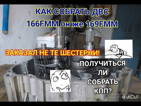 Видео: Как собрать двигатель 166FMM. Часть Первая. Кайо. Мотоленд. Авантис. GR. Zuum. Avantis. BSE. Irbis.