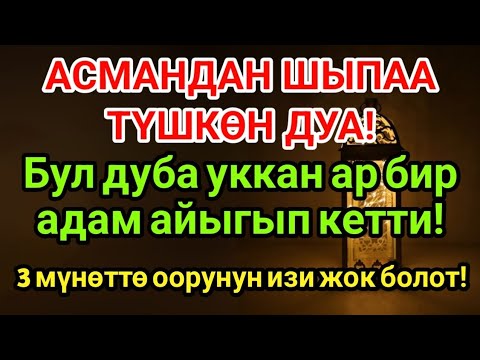 Видео: Асмандан Түшкөн Шыпаа! Пайгамбардын Дубасы Айыгуу Берет!