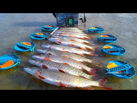 Видео: ПЕРВЫЙ ЛЁД 2025-26 ОТКРЫТ! ЖАРА НАЧАЛАСЬ! ЩУКА ЕСТ КАК НЕ В СЕБЯ!!! Только успевай ЖИВЦА ПОДАВАТЬ!