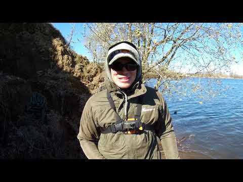 Видео: Браконьеры реки Пахра #Секретычемпиона