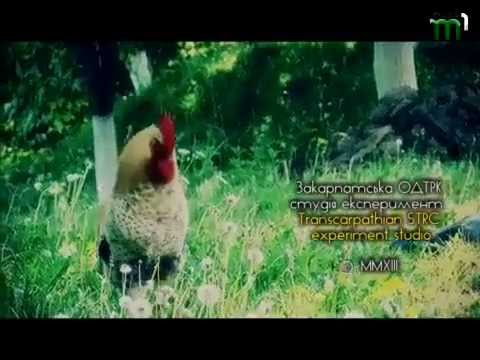 Видео: Тиса-1.Програма "Просто неба".Сімер.