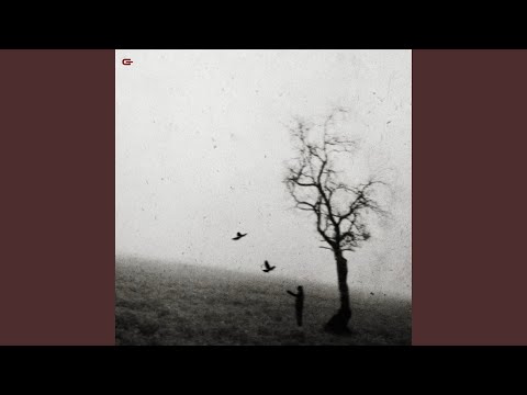 Видео: По плану