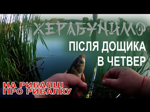 Видео: За карасем з херабуною  | Заптитання та відповіді і ще дещо корисне...