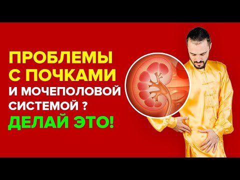 Видео: Простые упражнения для почек и мочеполовой системы! Помогут при опущении почек! Здоровье!