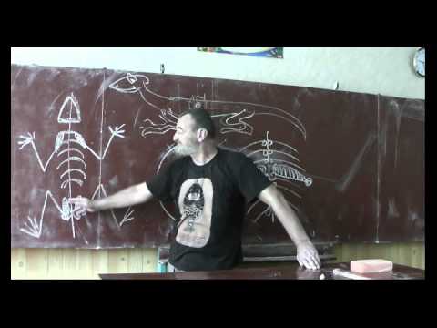 Видео: Драконоведение. Часть 5