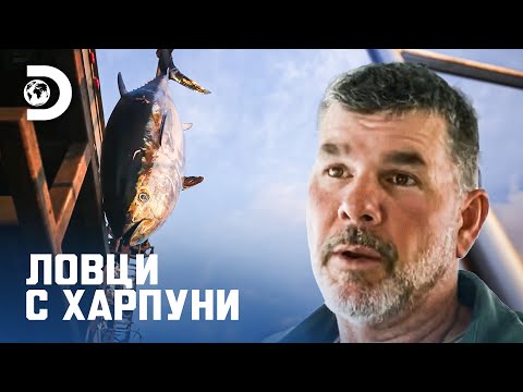 Видео: Хванаха риба тон на стойност 5000 долара! | Ловци с харпуни