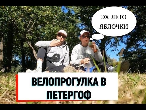 Видео: Немного лета ))) Велопрогулка в Петергоф.