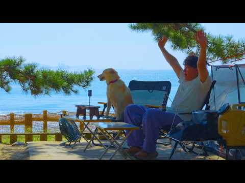 Видео: Целебный пляжный кемпинг 🌊 Волны, закат и спокойный день с моей собакой