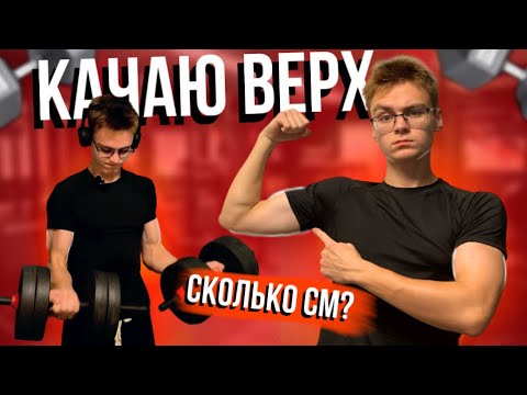 Видео: ТРЕНИРОВКА ВЕРХА И ЗАМЕРЫ РУК / сколько см бицепс?/жим лежа