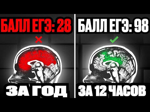 Видео: Вся ПЕРВАЯ Часть из ЕГЭ по Математике за 12 Часов!! Теория + основные прототипы!