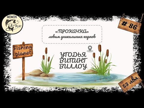 Видео: fishing planet #86 - Угодья "Випинг Виллоу" - прокачка с 53 до 54 уровня (2 часть)