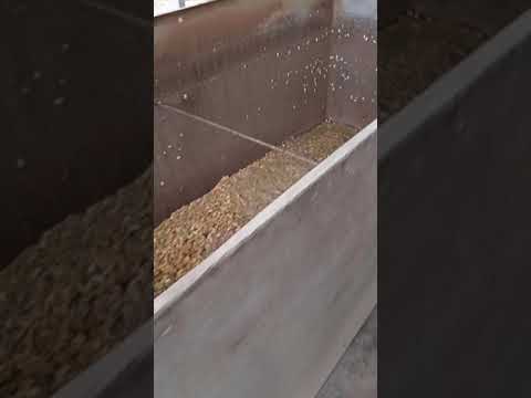 Видео: Уборка гарбуза 2023р.підборщик працює відмінно!!