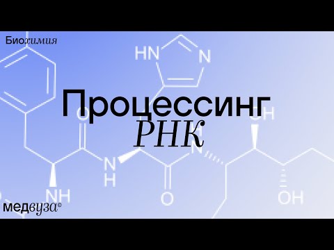 Видео: ПРОЦЕССИНГ РНК | Биохимия