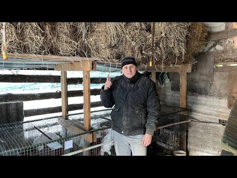 Видео: БІЗНЕС НА КРОЛЯХ! КРОЛІВ НЕ ВИСТАЧАЄ! РІЖЕМ ВОЛОГЕ СІНО ДЛЯ КОМБІКОРМУ НАЙПОТУЖНІШОЮ СІНОРІЗКОЮ 220В
