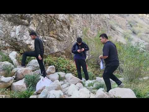 Видео: waterfall gulkam Uzbekistan #Gulkam darasi va sharsharalari #Гулькамские теснины #waterfall