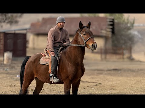 Видео: ТОРУ МЛНДУН ТҮЗ БАЛАСЫ ҮЙҮРҮ ӨТӨ КАТТУУ 🤯 #байтв 