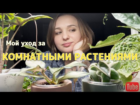 Видео: Мой уход за КОМНАТНЫМИ РАСТЕНИЯМИ | Гайд цветовода