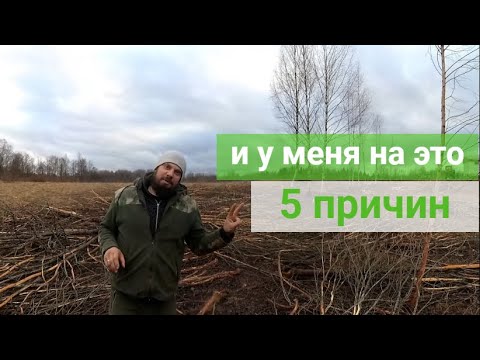 Видео: ЗАЧЕМ Я ВСЕ ВЫПИЛИВАЮ? ХУТОР ЗАГАЙКИ