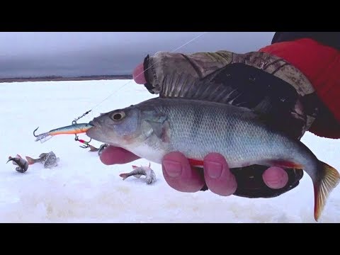 Видео: (Клоун) Сработал\Ловля Окуня на Балансир\Зимняя Рыбалка. Поиск Окуня!!!