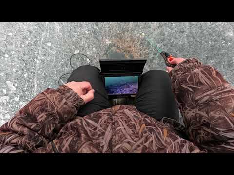 Видео: Первые лещи из подо льда весна 2025 день 2