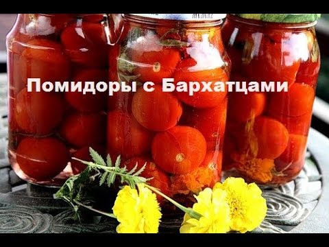 Видео: Помидоры с бархатцами .Бархатцы как приправа.