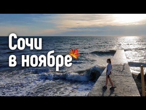 Видео: Сочи в ноябре. Чем заняться. Набережная, Дендрарий и аэропорт