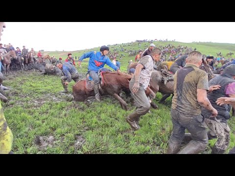 Видео: МЫНДАЙ УЛАК😱 КӨРӨ ЭЛЕКМИН улак эмес кино болду😱27 мая 2021 г.