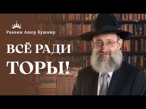 Видео: ЗАЧЕМ МЫ СОТВОРЕНЫ — Тора как Инструкция к Жизни | Рав Ашер Кушнир