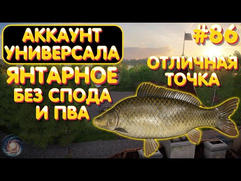 Видео: Аккаунт универсала #86 | Без спода и ПВА | Янтарное - Отличная точка | Русская Рыбалка 4