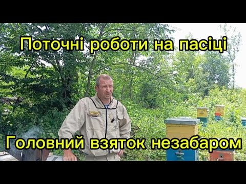 Видео: Підготовка до головного взятку. Підтримуючий взяток.