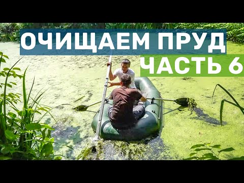 Видео: Очистка пруда бюджетно, часть 6. Вытесняем сине-зелёные водоросли биопрепаратом, Хлорелла