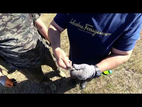 Видео: Видео от подписчика. Катушка для TX 850