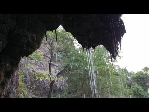 Видео: 10 “В”  МАЁВКА-Машат