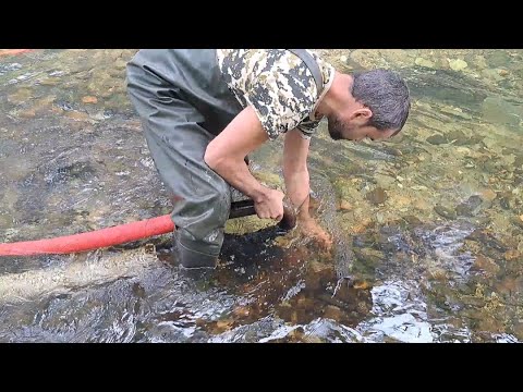 Видео: Золото в щетках 1