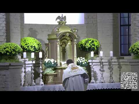 Видео: Святая Гадзіна