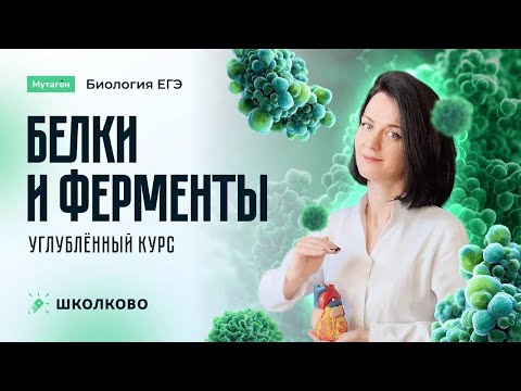 Видео: Белки и ферменты | Углубленный курс к ЕГЭ 2026 по биологии