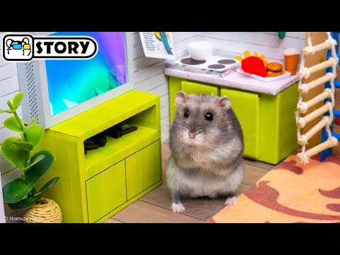 Видео: 🐹 Хомяк сбегает из лабиринта Хаоса 🐹 Хомура Хам Питомцы