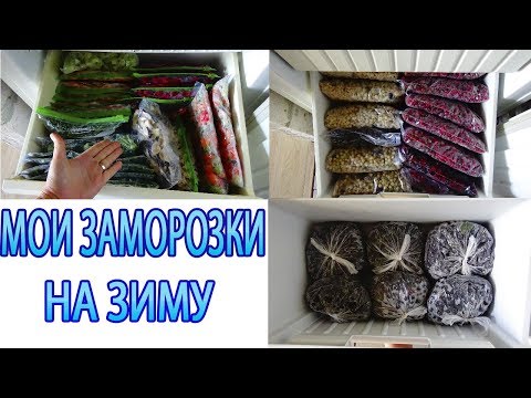 Видео: ЗАМОРОЗКИ НА ЗИМУ/ОВОЩИ/ЗЕЛЕНЬ/ЯГОДЫ/ЧТО В МОЕЙ МОРОЗИЛКЕ?
