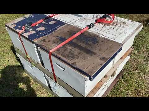 Видео: Разгрузка пчел манипулятором из Австралии