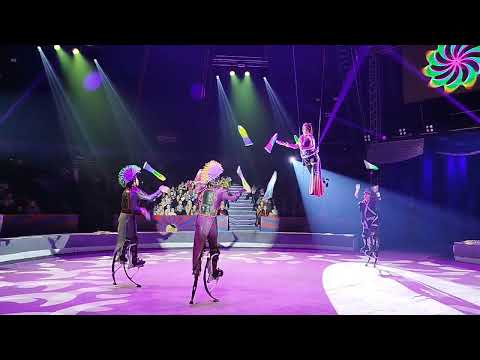 Видео: "ЖОНГЛЕРЫ НА ДЖАМПЕРАХ" П/Р АЛМАЗА АЛЖАНОВА, "ШОУ МОРСКИХ КОТИКОВ, В ЦИРКЕ ТОЛЬКО ЛУЧШИЕ"