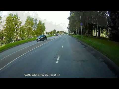Видео: Таллинн.  Зверушки 9