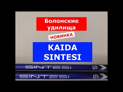 Видео: НОВИНКА 2025. KAIDA SINTESI - ОБЗОР БОЛОНСКИХ УДИЛИЩ. УДИЛИЩЕ С КОЛЬЦАМИ МОДЕЛЬ КАЙДА СИНТЕСИ