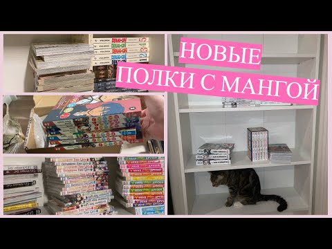 Видео: Новый стеллаж 🙌 ПОЛКИ С МАНГОЙ 📚 анхол манги?!