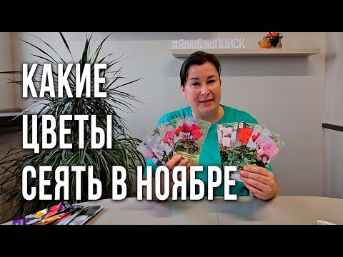 Видео: Комнатные растения из семян. Какие цветы посеять в ноябре под зиму. Выращивание горшечных растений.