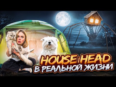 Видео: HOUSE HEAD В РЕАЛЬНОЙ ЖИЗНИ | 24 ЧАСА В ЗАКОЛДОВАННОМ ЛЕСУ С ПАЛАТКОЙ