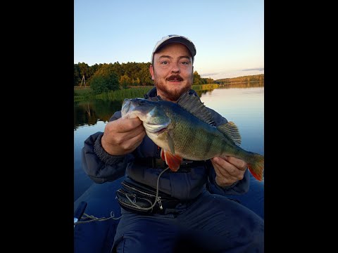 Видео: Зимний спиннинг и все, что не вошло в кадр в уходящем году