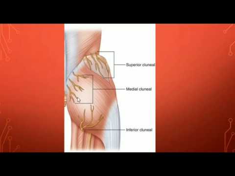Видео: КРЕСТЦОВОЕ СПЛЕТЕНИЕ (ДЛИННЫЕ ВЕТВИ)