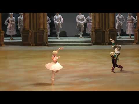 Видео: 24.10.2021 Спящая красавица, Кот и Кошечка