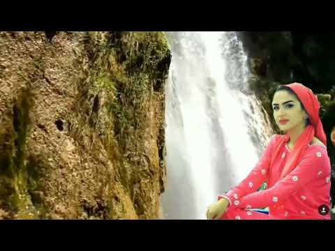 Видео: Миразимқори Йўлчиев ижро этган қўшиқлардан